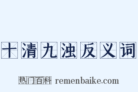 十清九浊反义词是什么意思的图片